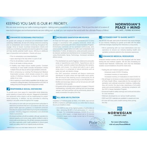 2020 HealthAndSafetyProtocals-Flyer